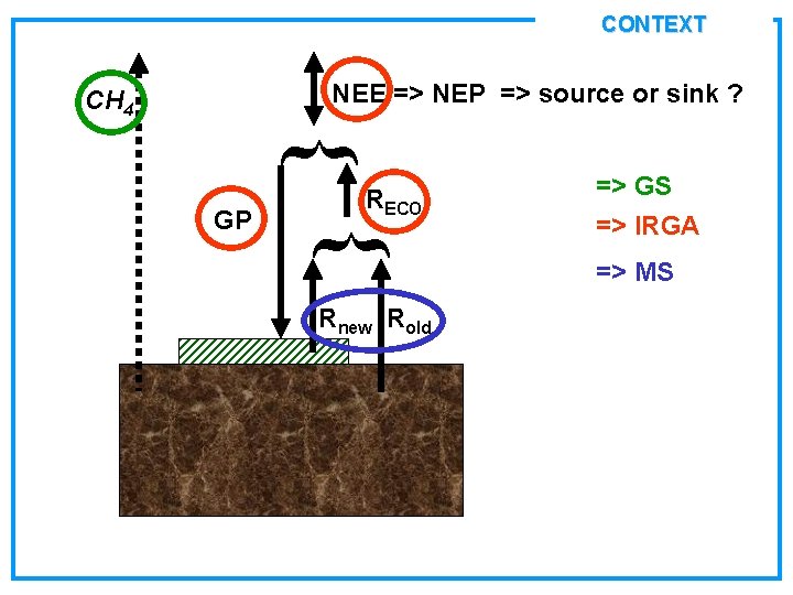 CONTEXT GP } } NEE => NEP => source or sink ? CH 4