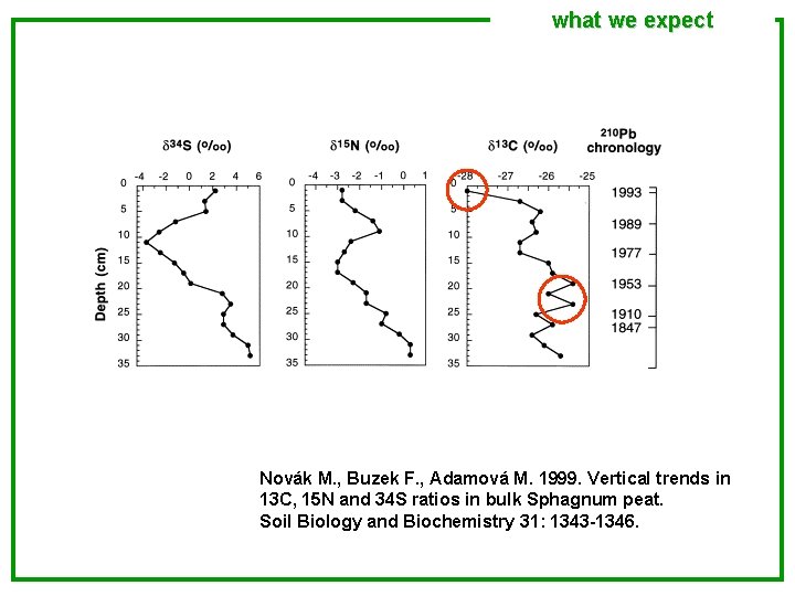 what we expect Novák M. , Buzek F. , Adamová M. 1999. Vertical trends
