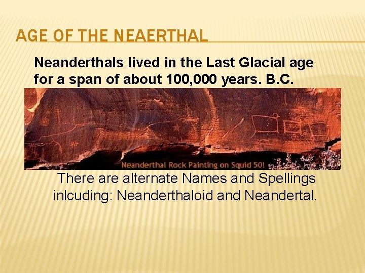 AGE OF THE NEAERTHAL Neanderthals lived in the Last Glacial age for a span