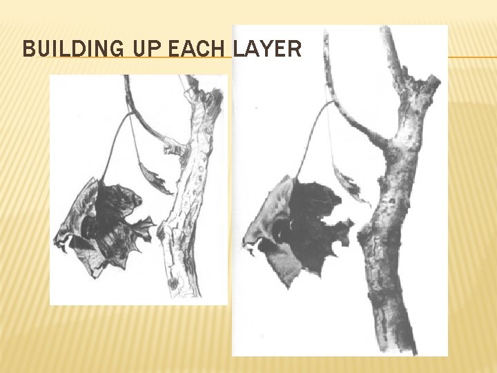 BUILDING UP EACH LAYER 