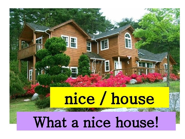 nice / house What a nice house! 