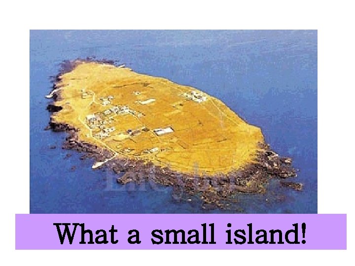 What a small island! 