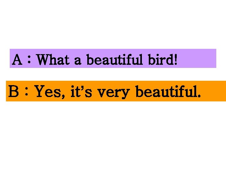 A : What a beautiful bird! B : Yes, it’s very beautiful. 