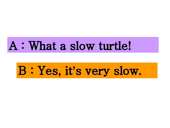A : What a slow turtle! B : Yes, it’s very slow. 