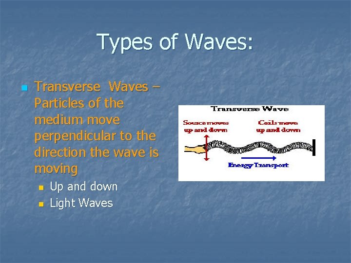 Types of Waves: n Transverse Waves – Particles of the medium move perpendicular to