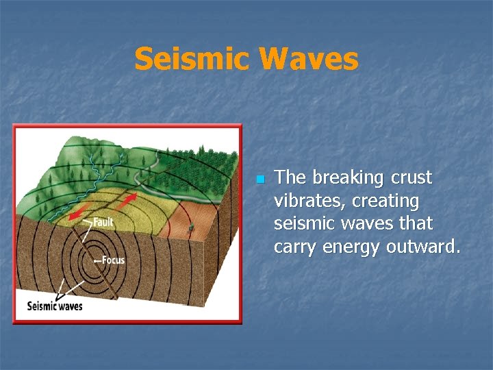 Seismic Waves n The breaking crust vibrates, creating seismic waves that carry energy outward.