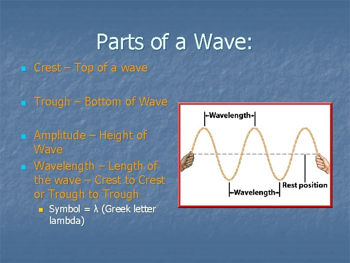 Parts of a Wave: n Crest – Top of a wave n Trough –