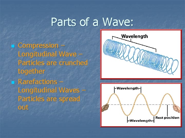Parts of a Wave: n n Compression – Longitudinal Wave – Particles are crunched