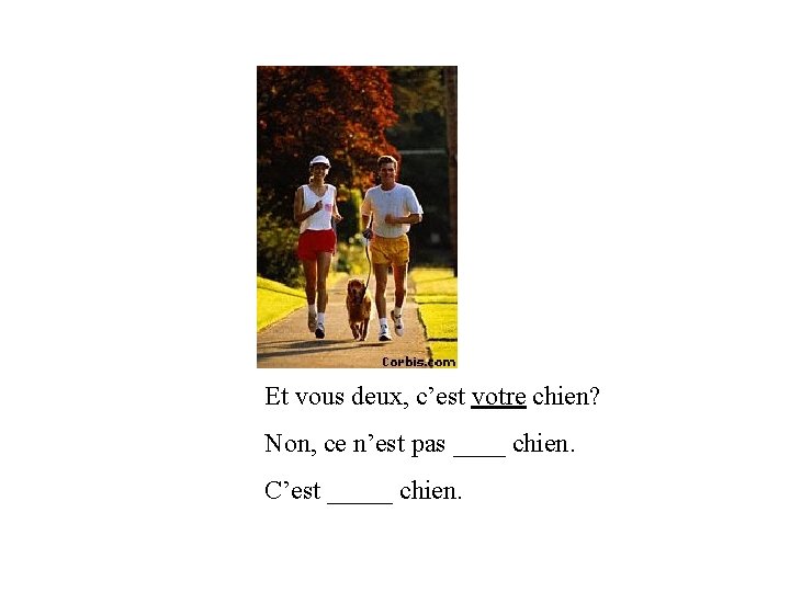 Et vous deux, c’est votre chien? Non, ce n’est pas ____ chien. C’est _____