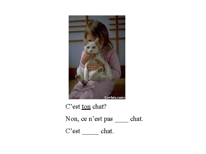 C’est ton chat? Non, ce n’est pas ____ chat. C’est _____ chat. 