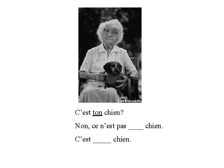 C’est ton chien? Non, ce n’est pas ____ chien. C’est _____ chien. 