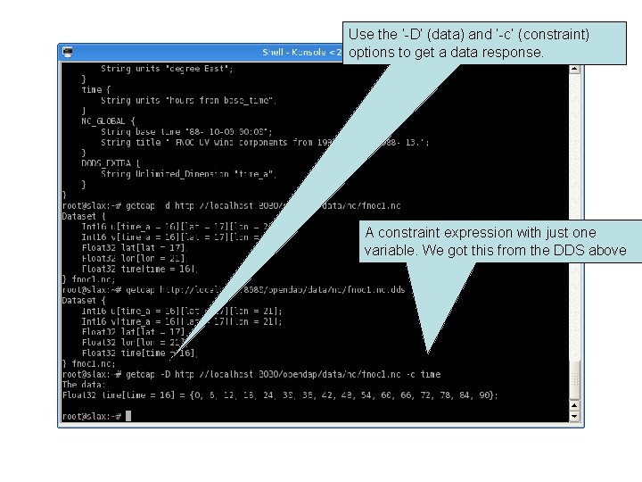 Use the ‘-D’ (data) and ‘-c’ (constraint) options to get a data response. A