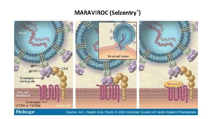 MARAVIROC (Selzentry®) 