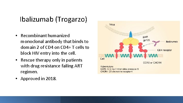 Ibalizumab (Trogarzo) • Recombinant humanized monoclonal antibody that binds to domain 2 of CD