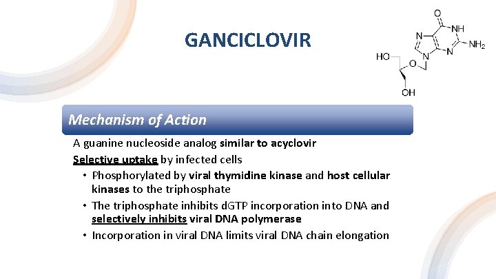 GANCICLOVIR Mechanism of Action A guanine nucleoside analog similar to acyclovir Selective uptake by