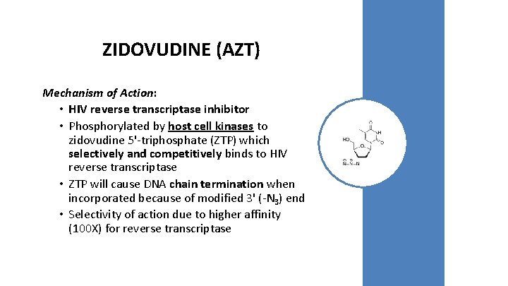 ZIDOVUDINE (AZT) Mechanism of Action: • HIV reverse transcriptase inhibitor • Phosphorylated by host