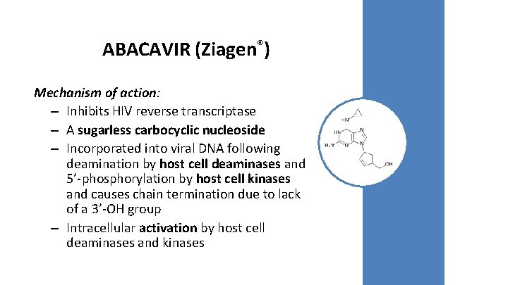 ABACAVIR (Ziagen®) Mechanism of action: – Inhibits HIV reverse transcriptase – A sugarless carbocyclic