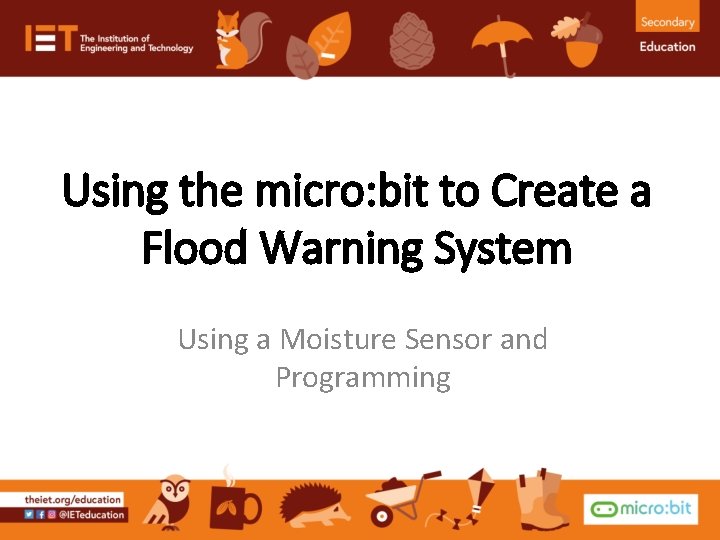 Using the micro: bit to Create a Flood Warning System Using a Moisture Sensor