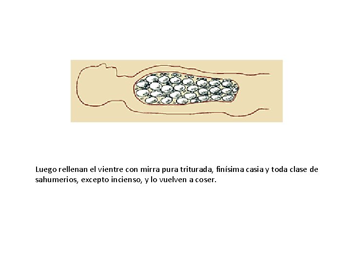 Luego rellenan el vientre con mirra pura triturada, finísima casia y toda clase de