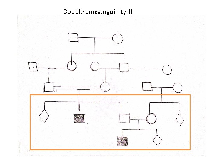 Double consanguinity !! 
