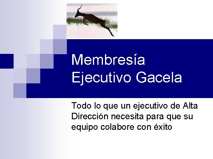 Membresía Ejecutivo Gacela Todo lo que un ejecutivo de Alta Dirección necesita para que