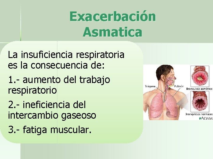 Exacerbación Asmatica La insuficiencia respiratoria es la consecuencia de: 1. - aumento del trabajo