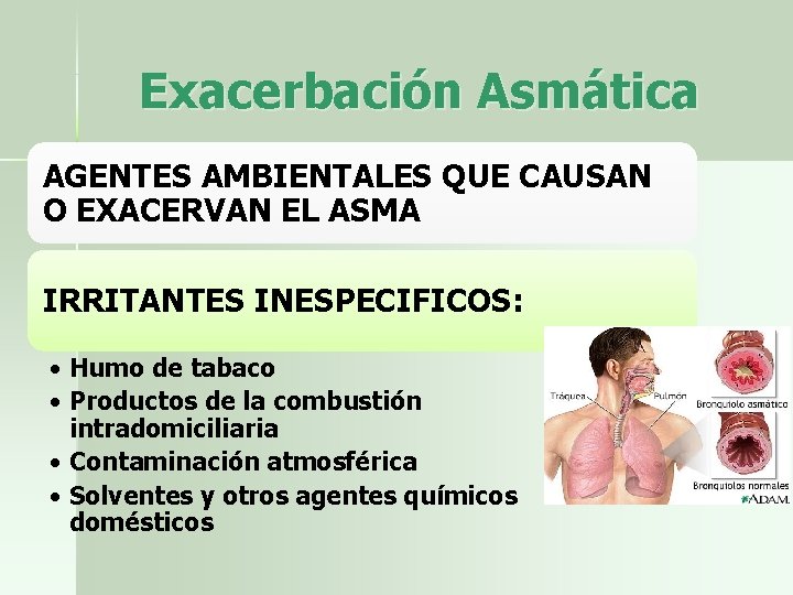 Exacerbación Asmática AGENTES AMBIENTALES QUE CAUSAN O EXACERVAN EL ASMA IRRITANTES INESPECIFICOS: • Humo