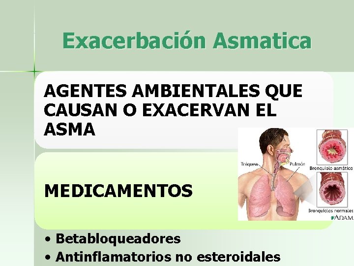 Exacerbación Asmatica AGENTES AMBIENTALES QUE CAUSAN O EXACERVAN EL ASMA MEDICAMENTOS • Betabloqueadores •