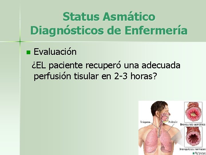 Status Asmático Diagnósticos de Enfermería n Evaluación ¿EL paciente recuperó una adecuada perfusión tisular