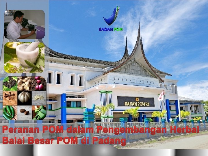 Peranan POM dalam Pengembangan Herbal Balai Besar POM di Padang 