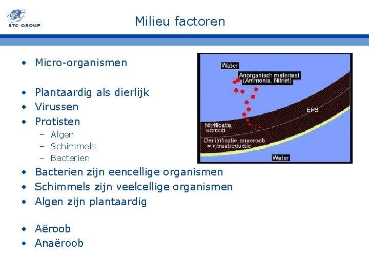 Milieu factoren • Micro-organismen • Plantaardig als dierlijk • Virussen • Protisten – Algen