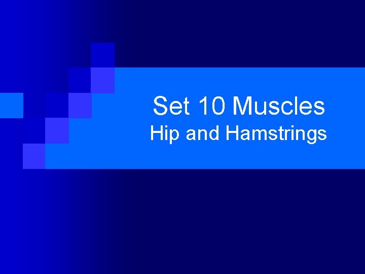 Set 10 Muscles Hip and Hamstrings 