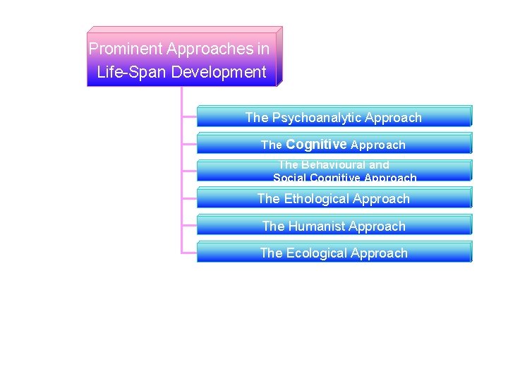 Prominent Approaches in Life-Span Development The Psychoanalytic Approach The Cognitive Approach The Behavioural and