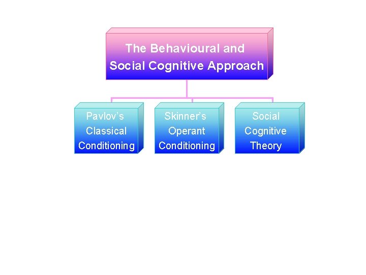 The Behavioural and Social Cognitive Approach Pavlov’s Classical Conditioning Skinner’s Operant Conditioning © 2005