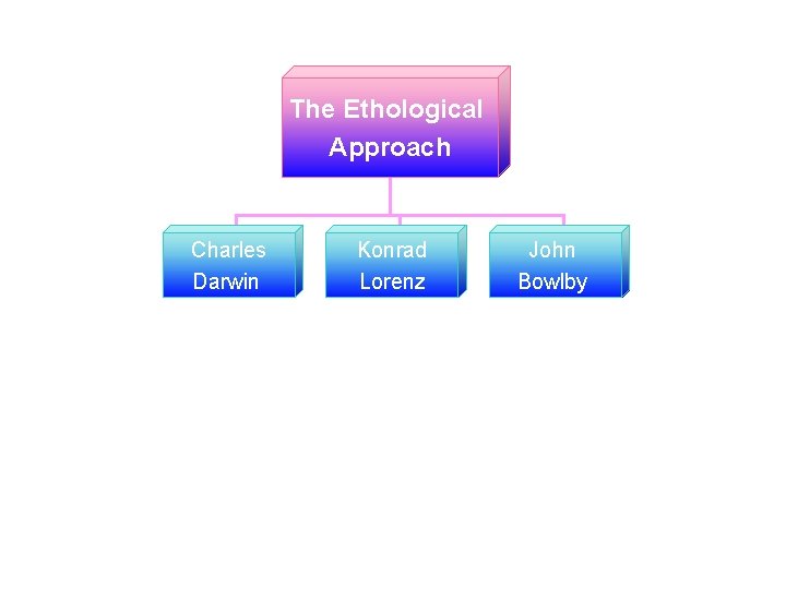 The Ethological Approach Charles Darwin Konrad Lorenz © 2005 Mc. Graw-Hill Ryerson Ltd. John
