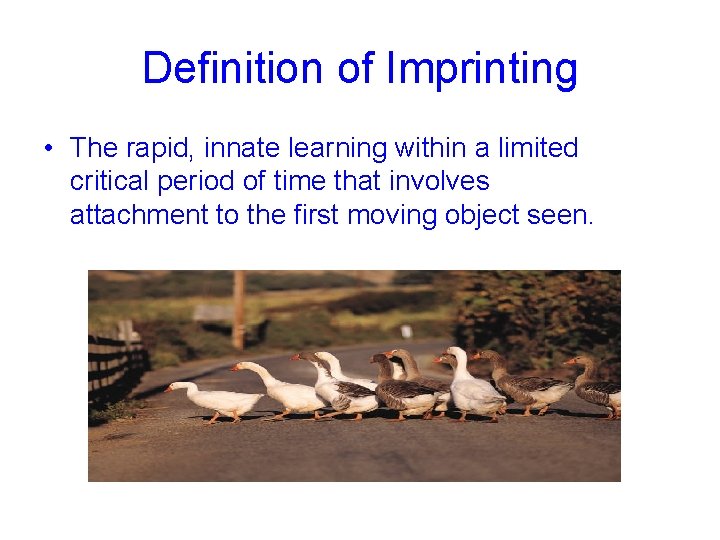 Definition of Imprinting • The rapid, innate learning within a limited critical period of