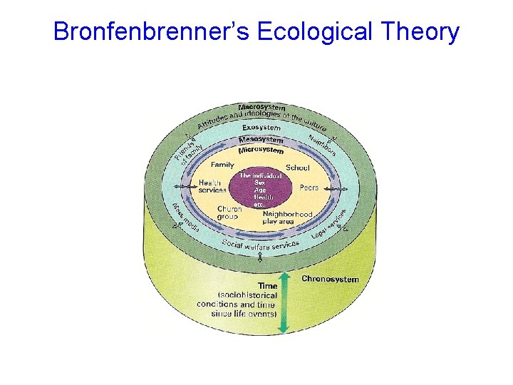 Bronfenbrenner’s Ecological Theory © 2005 Mc. Graw-Hill Ryerson Ltd. 