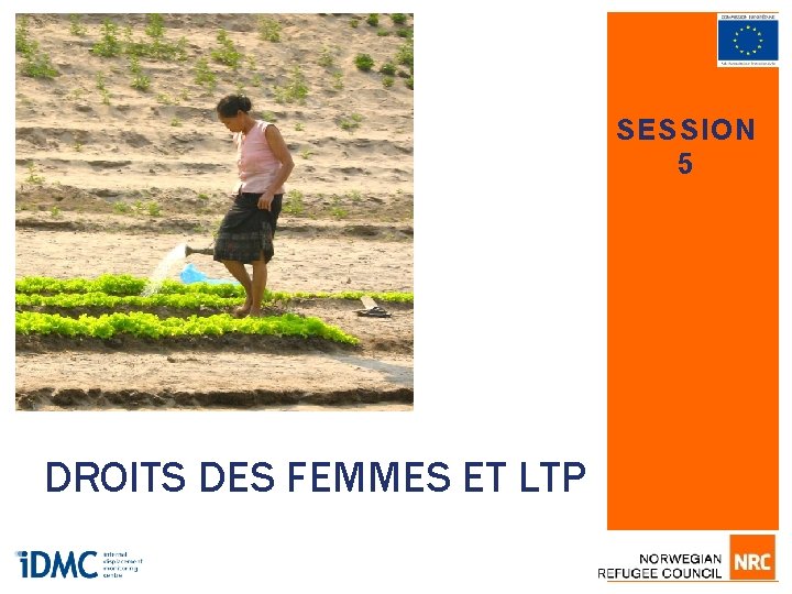 SESSION 5 DROITS DES FEMMES ET LTP 