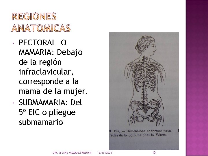  PECTORAL O MAMARIA: Debajo de la región infraclavicular, corresponde a la mama de