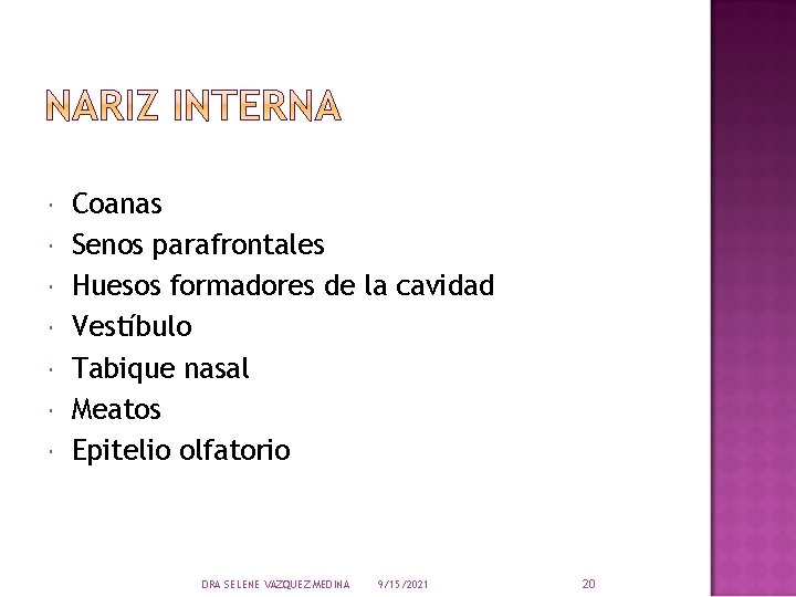  Coanas Senos parafrontales Huesos formadores de la cavidad Vestíbulo Tabique nasal Meatos Epitelio