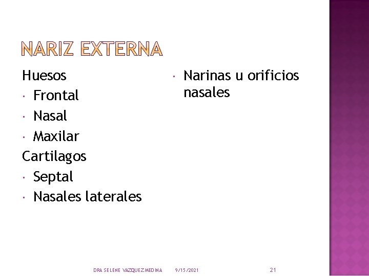 Huesos Frontal Nasal Maxilar Cartilagos Septal Nasales laterales DRA SELENE VAZQUEZ MEDINA Narinas u