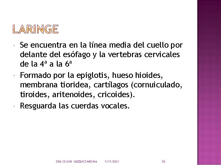  Se encuentra en la línea media del cuello por delante del esófago y