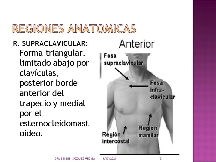 R. SUPRACLAVICULAR: Forma triangular, limitado abajo por clavículas, posterior borde anterior del trapecio y