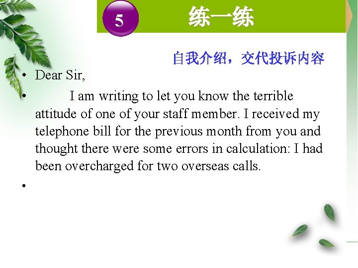 5 练一练 自我介绍，交代投诉内容 • Dear Sir, • I am writing to let you know