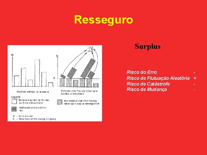 Resseguro Surplus Risco do Erro Risco de Flutuação Aleatória Risco de Catástrofe Risco de