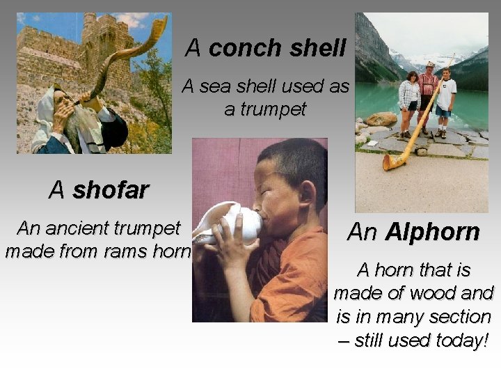 Metal Shell Like Instrument Brass Instruments Brass Instruments Brass instruments make up