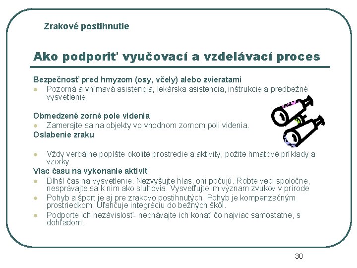 Zrakové postihnutie Ako podporiť vyučovací a vzdelávací proces Bezpečnosť pred hmyzom (osy, včely) alebo