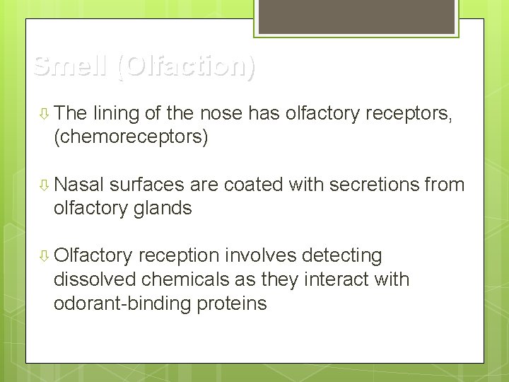 Smell (Olfaction) The lining of the nose has olfactory receptors, (chemoreceptors) Nasal surfaces are