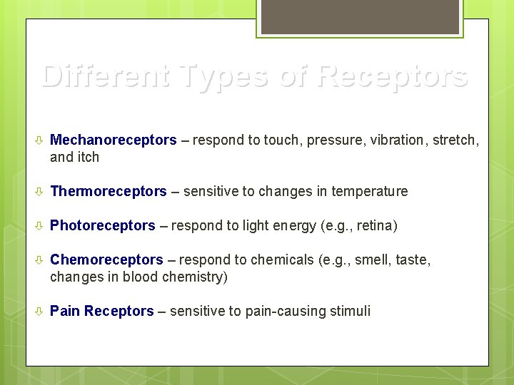 Different Types of Receptors Mechanoreceptors – respond to touch, pressure, vibration, stretch, and itch