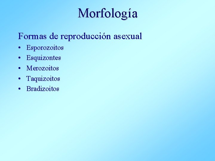 Morfología Formas de reproducción asexual • • • Esporozoitos Esquizontes Merozoitos Taquizoitos Bradizoitos 